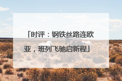 时评：钢铁丝路连欧亚，班列飞驰启新程