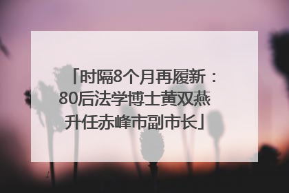 时隔8个月再履新：80后法学博士黄双燕升任赤峰市副市长