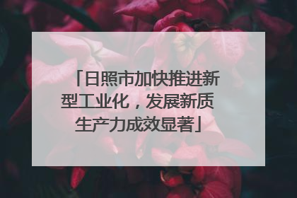 日照市加快推进新型工业化，发展新质生产力成效显著