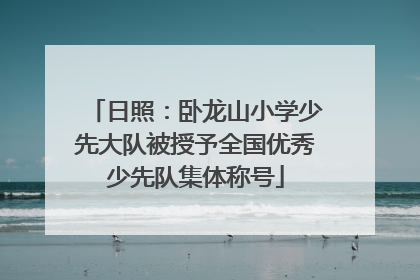 日照：卧龙山小学少先大队被授予全国优秀少先队集体称号