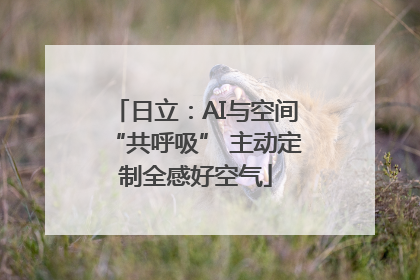 日立：AI与空间“共呼吸” 主动定制全感好空气
