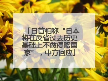 日首相称“日本将在反省过去历史基础上不做侵略国家”，中方回应