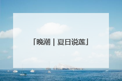 晚潮｜夏日说莲