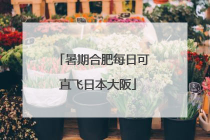 暑期合肥每日可直飞日本大阪