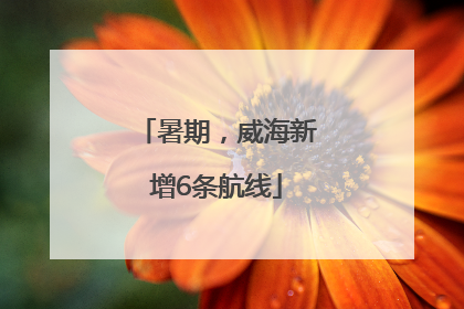 暑期，威海新增6条航线