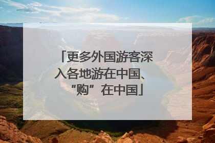 更多外国游客深入各地游在中国、“购”在中国