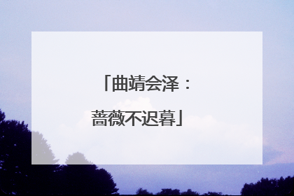 曲靖会泽：蔷薇不迟暮
