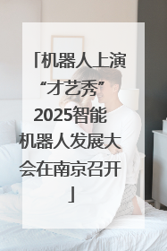 机器人上演“才艺秀” 2025智能机器人发展大会在南京召开