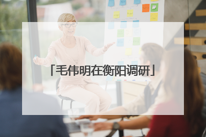 毛伟明在衡阳调研