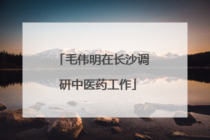 毛伟明在长沙调研中医药工作