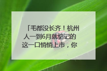 毛都没长齐！杭州人一到6月就惦记的这一口悄悄上市，你打算尝鲜吗？