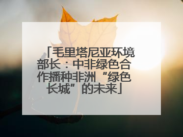 毛里塔尼亚环境部长：中非绿色合作播种非洲“绿色长城”的未来