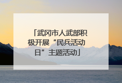 武冈市人武部积极开展“民兵活动日”主题活动