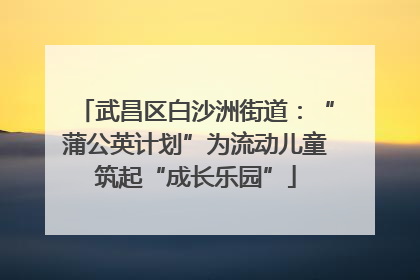 武昌区白沙洲街道：“蒲公英计划”为流动儿童筑起“成长乐园”