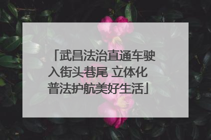 武昌法治直通车驶入街头巷尾 立体化普法护航美好生活