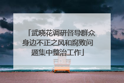 武晓花调研督导群众身边不正之风和腐败问题集中整治工作