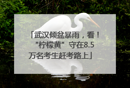武汉倾盆暴雨，看！“柠檬黄”守在8.5万名考生赶考路上