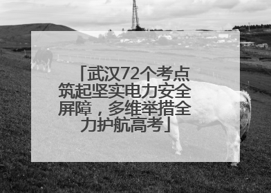 武汉72个考点筑起坚实电力安全屏障，多维举措全力护航高考