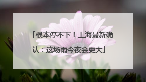 根本停不下！上海最新确认：这场雨今夜会更大