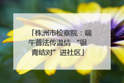 株洲市检察院：端午普法传温情 “银青结对”进社区