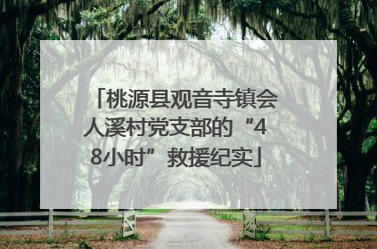 桃源县观音寺镇会人溪村党支部的“48小时”救援纪实