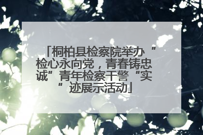 桐柏县检察院举办“检心永向党，青春铸忠诚”青年检察干警“实”迹展示活动