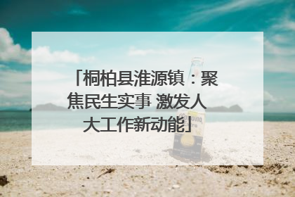 桐柏县淮源镇：聚焦民生实事 激发人大工作新动能