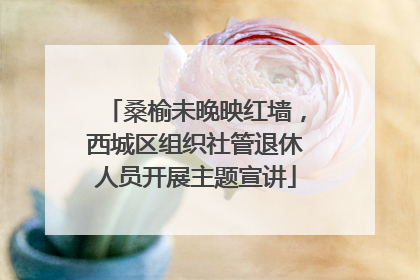 桑榆未晚映红墙，西城区组织社管退休人员开展主题宣讲