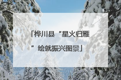 桦川县“星火归雁”绘就振兴图景