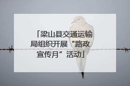 梁山县交通运输局组织开展“路政宣传月”活动