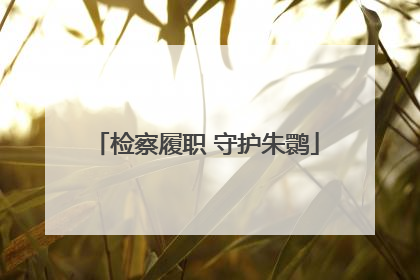 检察履职 守护朱鹮
