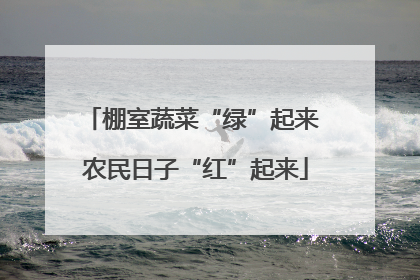 棚室蔬菜“绿”起来 农民日子“红”起来