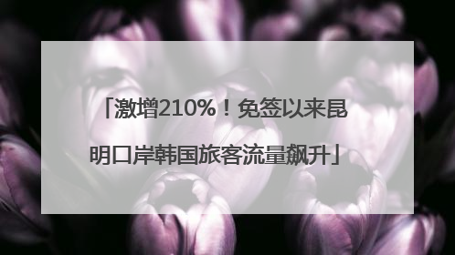 激增210%！免签以来昆明口岸韩国旅客流量飙升