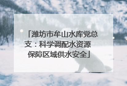 潍坊市牟山水库党总支：科学调配水资源 保障区域供水安全
