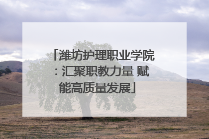 潍坊护理职业学院：汇聚职教力量 赋能高质量发展
