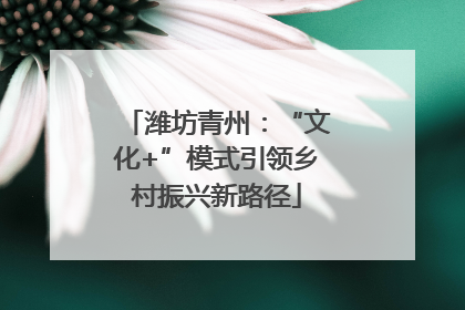 潍坊青州：“文化+”模式引领乡村振兴新路径