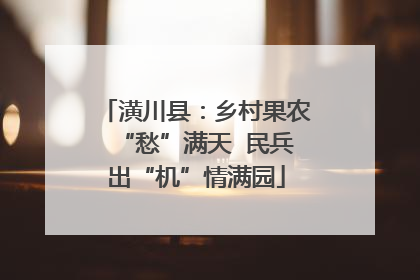 潢川县：乡村果农“愁”满天  民兵出“机”情满园