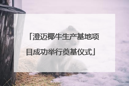澄迈椰牛生产基地项目成功举行奠基仪式