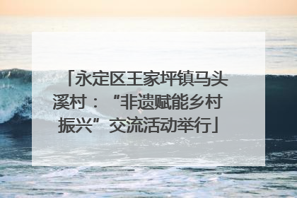 永定区王家坪镇马头溪村：“非遗赋能乡村振兴”交流活动举行