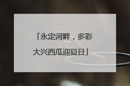 永定河畔，多彩大兴西瓜迎夏日