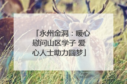 永州金洞：暖心慰问山区学子 爱心人士助力圆梦