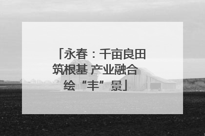 永春：千亩良田筑根基 产业融合绘“丰”景