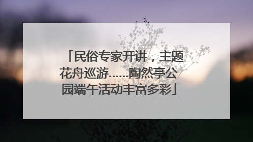 民俗专家开讲，主题花舟巡游……陶然亭公园端午活动丰富多彩