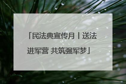 民法典宣传月丨送法进军营 共筑强军梦
