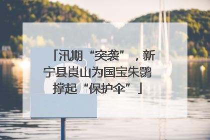 汛期“突袭”，新宁县崀山为国宝朱鹮撑起“保护伞”