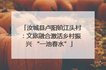 汝城县卢阳镇江头村：文旅融合激活乡村振兴 “一池春水”