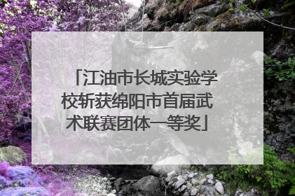 江油市长城实验学校斩获绵阳市首届武术联赛团体一等奖