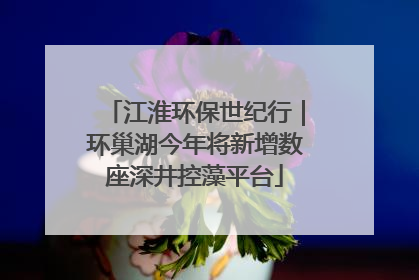 江淮环保世纪行｜环巢湖今年将新增数座深井控藻平台