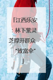 江西乐安：林下紫灵芝撑开群众“致富伞”