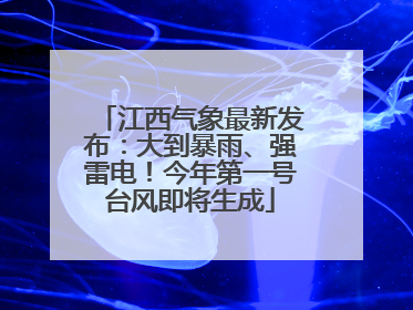 江西气象最新发布：大到暴雨、强雷电！今年第一号台风即将生成